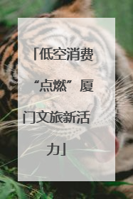 低空消费“点燃”厦门文旅新活力
