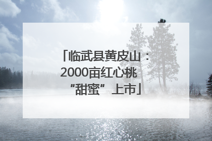 临武县黄皮山：2000亩红心桃“甜蜜”上市