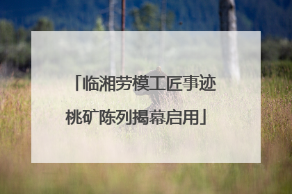 临湘劳模工匠事迹桃矿陈列揭幕启用