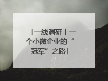 一线调研丨一个小微企业的“冠军”之路