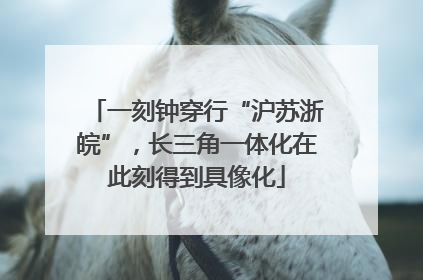 一刻钟穿行“沪苏浙皖”，长三角一体化在此刻得到具像化