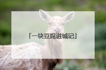一块豆腐进城记