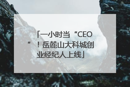 一小时当“CEO”！岳麓山大科城创业经纪人上线