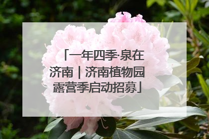 一年四季·泉在济南｜济南植物园露营季启动招募