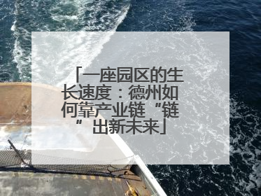 一座园区的生长速度：德州如何靠产业链“链”出新未来