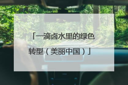 一滴卤水里的绿色转型（美丽中国）