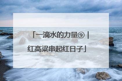一滴水的力量⑨｜红高粱串起红日子