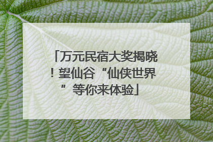 万元民宿大奖揭晓！望仙谷“仙侠世界”等你来体验