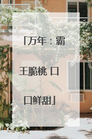 万年：霸王脆桃 口口鲜甜