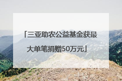 三亚助农公益基金获最大单笔捐赠50万元