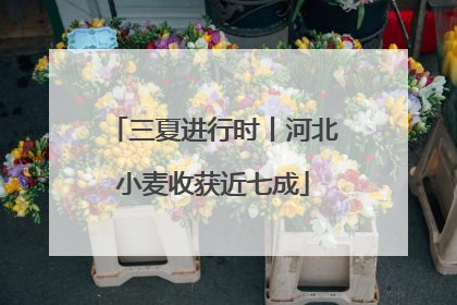 三夏进行时丨河北小麦收获近七成