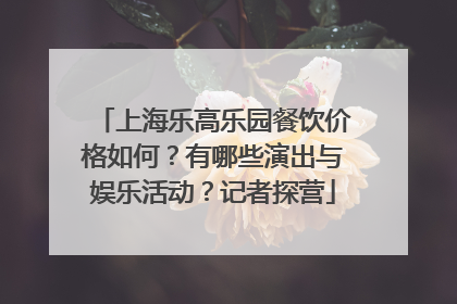 上海乐高乐园餐饮价格如何？有哪些演出与娱乐活动？记者探营
