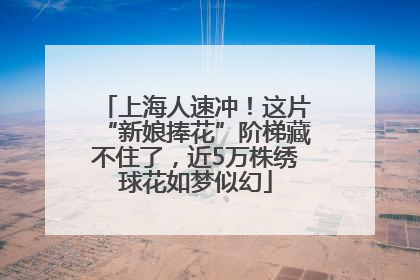 上海人速冲！这片“新娘捧花”阶梯藏不住了，近5万株绣球花如梦似幻