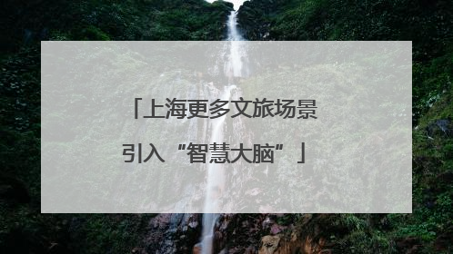 上海更多文旅场景引入“智慧大脑”