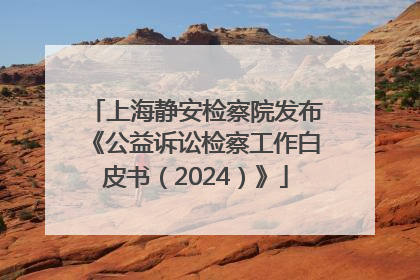 上海静安检察院发布《公益诉讼检察工作白皮书（2024）》