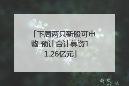 下周两只新股可申购 预计合计募资11.26亿元