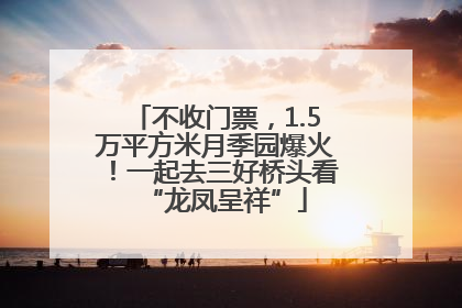 不收门票，1.5万平方米月季园爆火！一起去三好桥头看“龙凤呈祥”