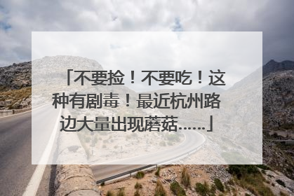 不要捡！不要吃！这种有剧毒！最近杭州路边大量出现蘑菇……