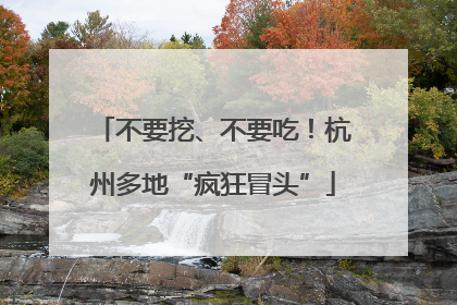 不要挖、不要吃！杭州多地“疯狂冒头”