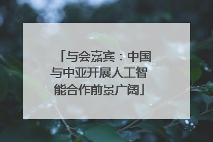 与会嘉宾：中国与中亚开展人工智能合作前景广阔