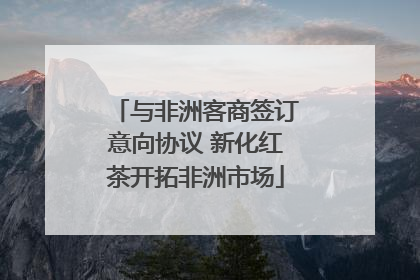 与非洲客商签订意向协议 新化红茶开拓非洲市场