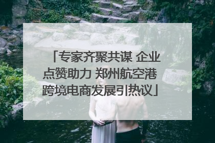 专家齐聚共谋 企业点赞助力 郑州航空港跨境电商发展引热议
