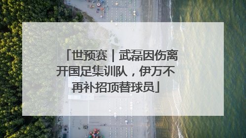 世预赛｜武磊因伤离开国足集训队，伊万不再补招顶替球员