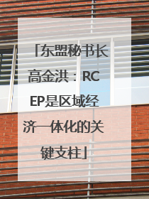 东盟秘书长高金洪：RCEP是区域经济一体化的关键支柱