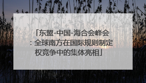 东盟-中国-海合会峰会：全球南方在国际规则制定权竞争中的集体亮相
