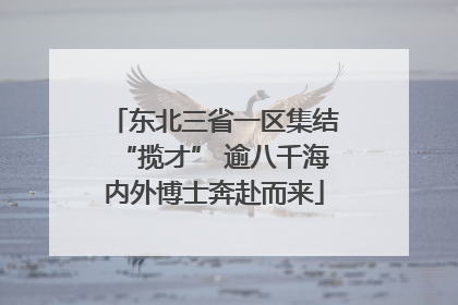 东北三省一区集结“揽才” 逾八千海内外博士奔赴而来
