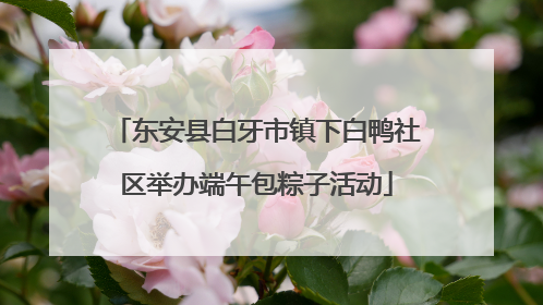 东安县白牙市镇下白鸭社区举办端午包粽子活动