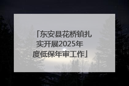 东安县花桥镇扎实开展2025年度低保年审工作