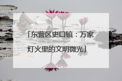 东营区史口镇：万家灯火里的文明微光