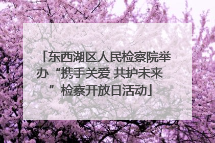 东西湖区人民检察院举办“携手关爱 共护未来”检察开放日活动