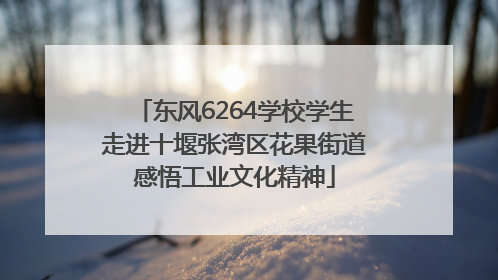 东风6264学校学生走进十堰张湾区花果街道感悟工业文化精神