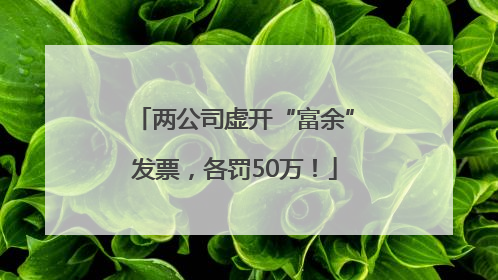 两公司虚开“富余”发票，各罚50万！