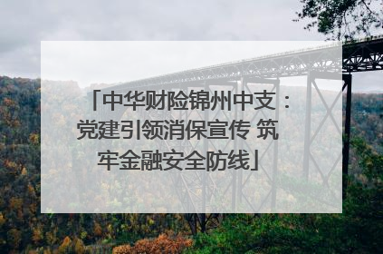 中华财险锦州中支：党建引领消保宣传 筑牢金融安全防线