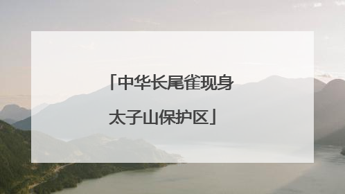 中华长尾雀现身太子山保护区