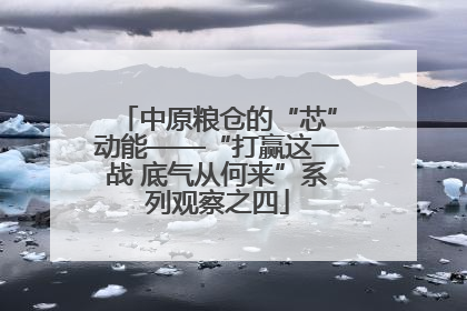 中原粮仓的“芯”动能——“打赢这一战 底气从何来”系列观察之四