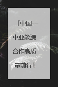 中国—中亚能源合作高质量前行