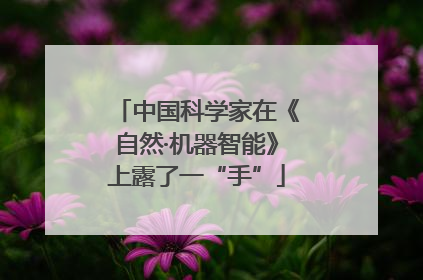 中国科学家在《自然·机器智能》上露了一“手”