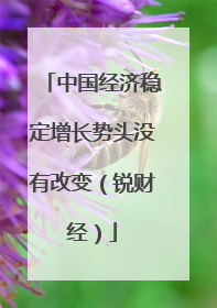 中国经济稳定增长势头没有改变（锐财经）