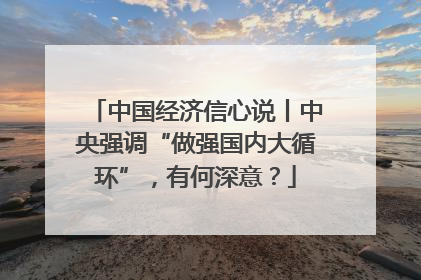 中国经济信心说丨中央强调“做强国内大循环”，有何深意？