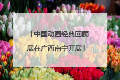 中国动画经典回顾展在广西南宁开展