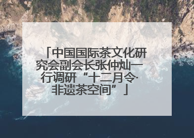 中国国际茶文化研究会副会长张仲灿一行调研“十二月令·非遗茶空间”