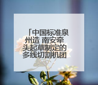 中国标准泉州造 南安牵头起草制定的多线切割机团体标准启用