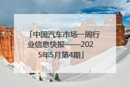 中国汽车市场一周行业信息快报——2025年5月第4期