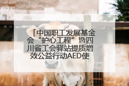 中国职工发展基金会“护心工程”暨四川省工会驿站提质增效公益行动AED使用培训在达州举行