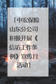 中宏保险山东分公司积极开展《信访工作条例》宣传月活动