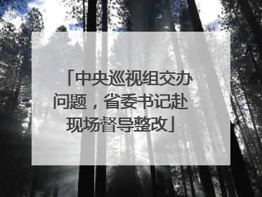 中央巡视组交办问题，省委书记赴现场督导整改